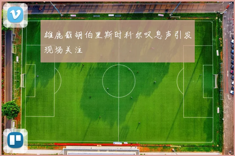 雄鹿截胡伯里斯时科尔叹息声引发现场关注