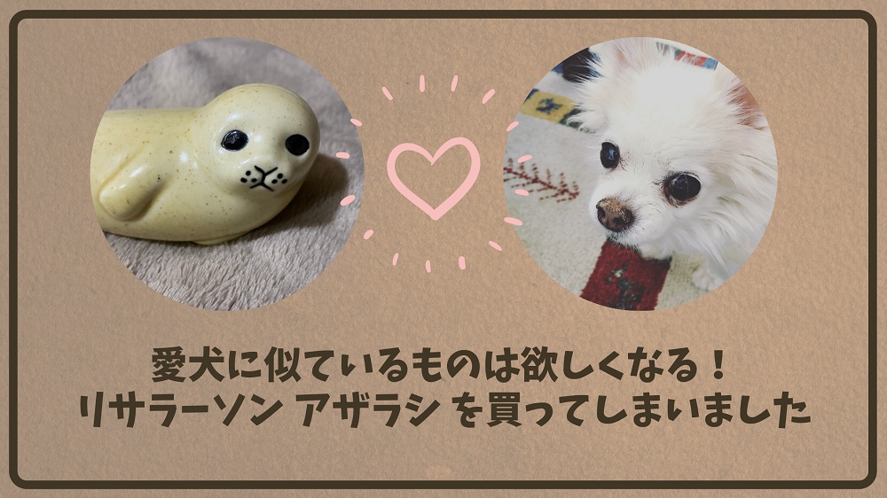 愛犬に似ているものは欲しくなる リサラーソン アザラシ を買ってしまいました 只野もじゃもじゃブログ 愛犬に似ているものは欲しくなる リサラーソン アザラシ を買ってしまいました 只野もじゃもじゃブログ