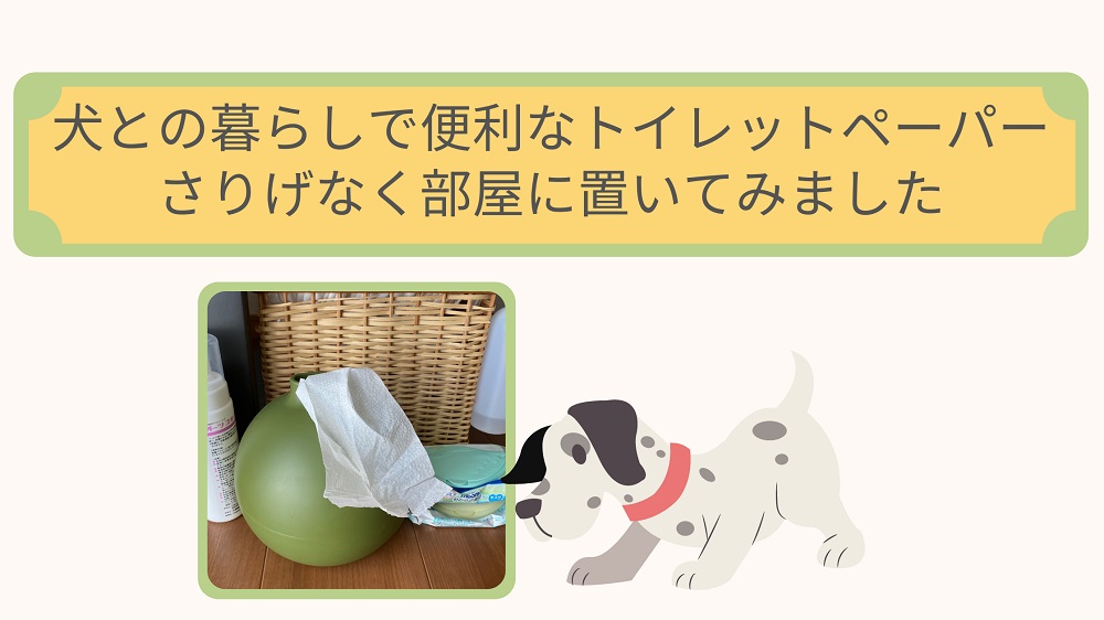 犬との暮らしで便利なトイレットペーパー さりげなく部屋に置いてみました 只野もじゃもじゃブログ 犬との暮らしで便利なトイレットペーパー さりげなく部屋に置いてみました 只野もじゃもじゃブログ