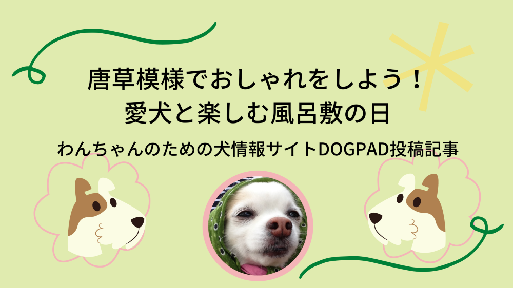唐草模様でおしゃれをしよう 愛犬と楽しむ風呂敷の日 Dogpad投稿記事 只野もじゃもじゃブログ