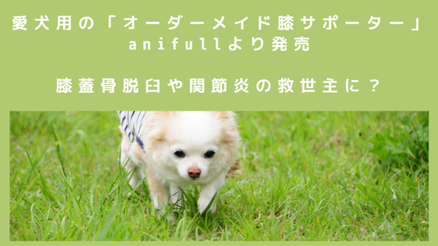 愛犬用の オーダーメイド膝サポーター がanifullより発売 膝蓋骨脱臼や関節炎の救世主に 只野もじゃもじゃブログ 愛犬用の オーダーメイド膝サポーター がanifullより発売 膝蓋骨脱臼や関節炎の救世主に 只野もじゃもじゃブログ