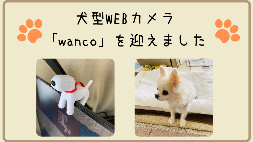 犬型webカメラ Wanco を迎えました 只野もじゃもじゃブログ