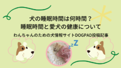 愛犬用の オーダーメイド膝サポーター がanifullより発売 膝蓋骨脱臼や関節炎の救世主に 只野もじゃもじゃブログ