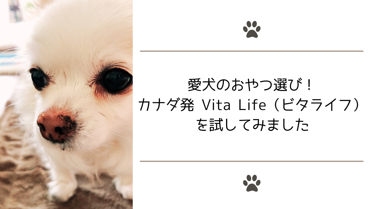 Vita Life（ビタライフ）